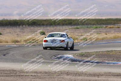 media/Oct-04-2025-OnGrid (Sat) [[44bd565ffa]]/Purple Group/Grapevine/